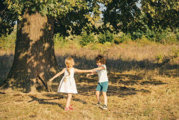 子供たちは野原を走る。夏のフィールドで幸せな子供。エコリゾートのアクティビティ。気楽な子供時代. - 写真・画像