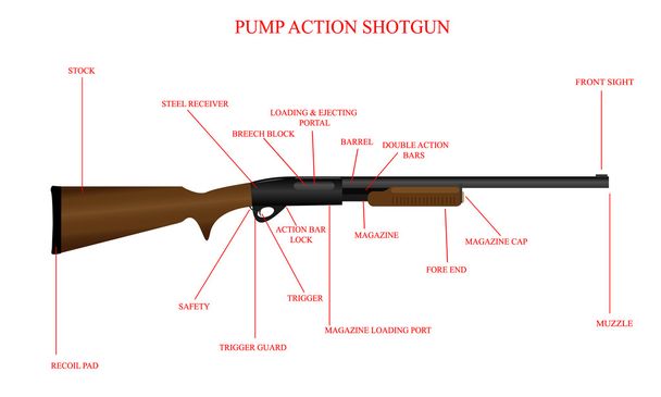 Diagramme de fusil de chasse étiqueté
 - Vecteur, image