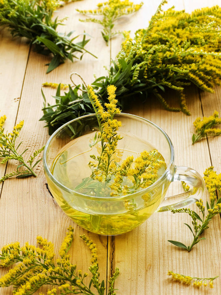 Goldenrod herbal tea - Photo, Image