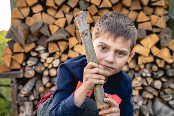Focused little boy in casual clothes swung the log, looking seriously at the camera with log in hands, firewood on the background - Photo, Image