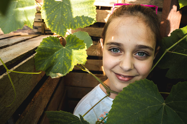 Close up portrait of beautiful young girl with healthy skin that peeping out of the grape branches, wooden boxes on the background - Foto, afbeelding