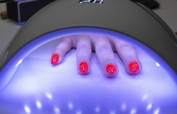 mano femenina bajo lámpara ultravioleta para secar manicura roja
 - Foto, imagen