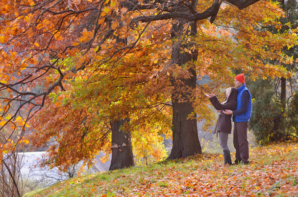 秋の公園でカップル - 写真・画像