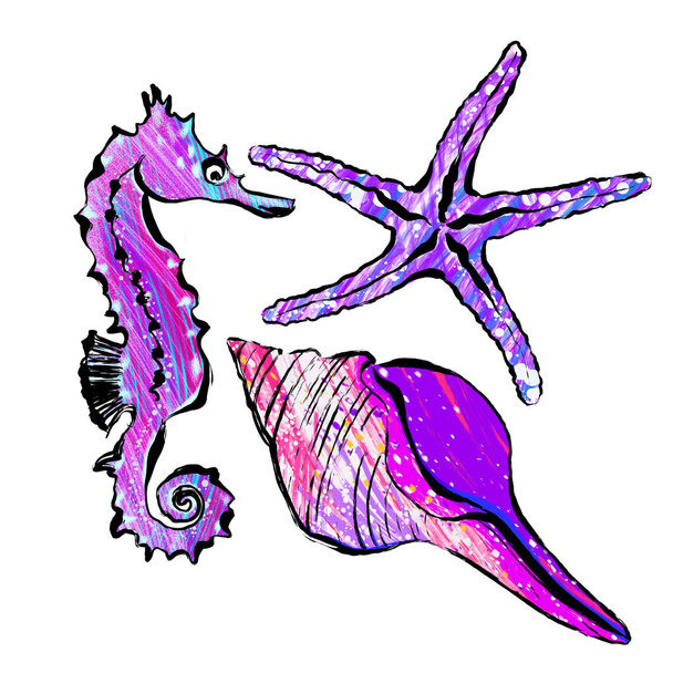 Set of illustrations on the marine theme: shell, starfish, seahorse - Photo, Image