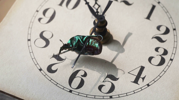 Ein Käfer kämpft sich nach rechts, während er sich an den Zeiger einer alten Uhr in fleckigem Licht klammert - Filmmaterial, Video