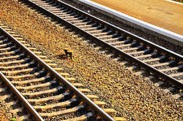 Railroad track rails - Photo, Image