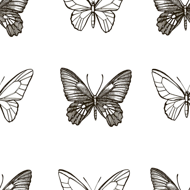 蝶のシルエット。白い背景に隔離された蝶のアイコン。グラフィックイラスト。シームレスなパターン - ベクター画像