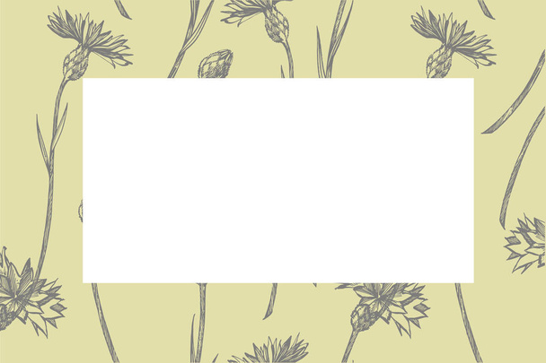 手描きの花や植物は横のカードを teamplate ます。手書きの抽象的なテキストの壁紙。抽象的なヴィンテージの文字の模倣。植物学, ビンテージ花 - ベクター画像