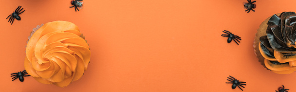 コピースペース、パノラマショットとオレンジ色の背景にクモとおいしいハロウィーンカップケーキのトップビュー - 写真・画像