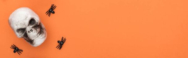 top view of decorative skull with spiders on orange background with copy space, panoramic shot - Foto, immagini