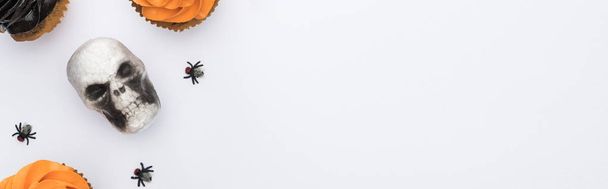 вид зверху смачні кекси на Хеллоуїн з павуками і череп на білому тлі з місцем для тексту, панорамний знімок
 - Фото, зображення