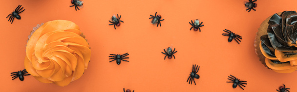 top view of delicious Halloween cupcakes and spiders on orange background with copy space, panoramic shot - Photo, Image