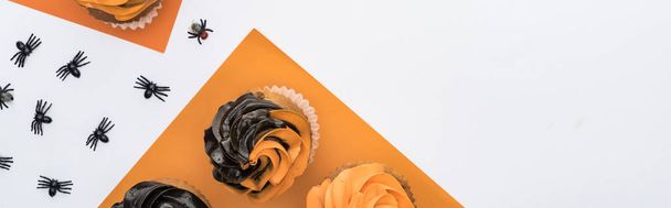 Top uitzicht van heerlijke Halloween Cupcakes met spinnen en schedels op witte en oranje achtergrond, panoramische schot - Foto, afbeelding