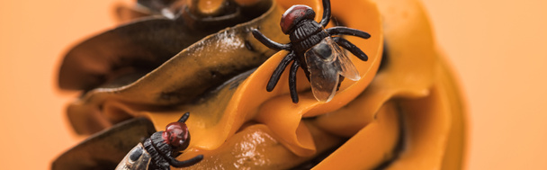 крупним планом вид на моторошний кекс на Хеллоуїн з мухами на кремі ізольований на помаранчевому, панорамний постріл
 - Фото, зображення