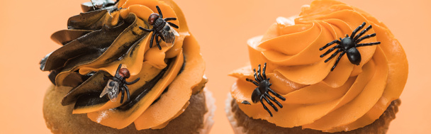 tasty Halloween cupcakes with spiders on orange background, panoramic shot - Foto, immagini