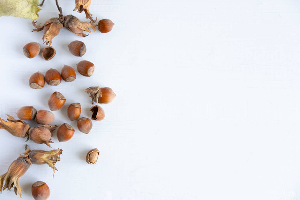 Hazelnuts on a light background. Healthy nuts. Fruits of a forest shrub, hazel. Flat lay, top view. - Zdjęcie, obraz