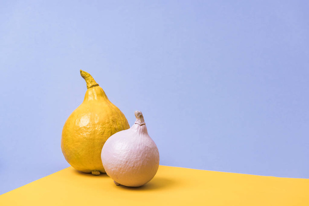 painted pumpkins on violet and yellow background - 写真・画像