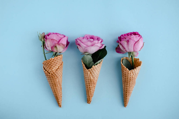 Розовые розы в конусах мороженого на голубом  - Фото, изображение