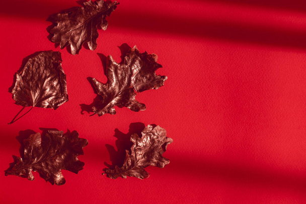 Őszi lapos rózsa arany levelek piros háttér - Fotó, kép