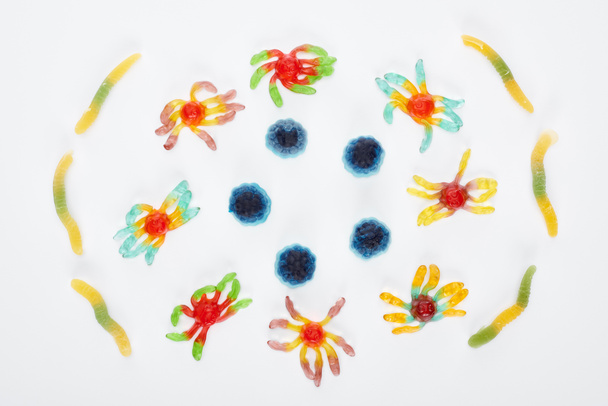 top view of colorful gummy spiders and worms isolated on white, Halloween treat - 写真・画像