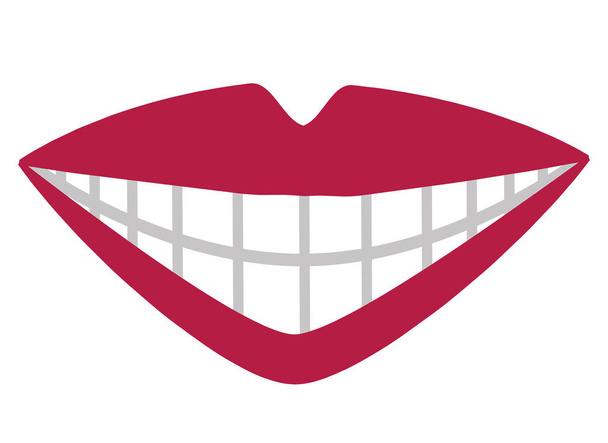 mouth with perfect teeth vector illustration - Vector, Image