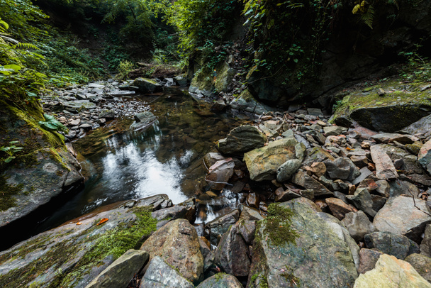 zöld penész a kövek közelében folyó parkban - Fotó, kép