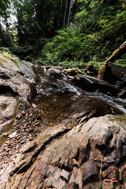 ποτάμι που ρέει κοντά σε βρεγμένους βράχους και πράσινα δέντρα  - Φωτογραφία, εικόνα