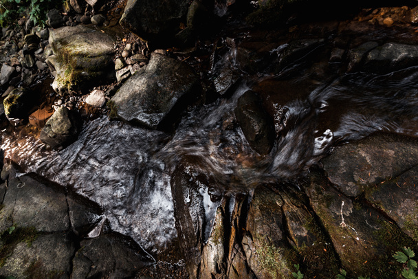 Top uitzicht van water stroomt op natte stenen in bos  - Foto, afbeelding