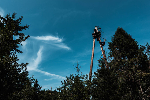visão de baixo ângulo de árvores contra o céu azul com nuvens no parque
  - Foto, Imagem