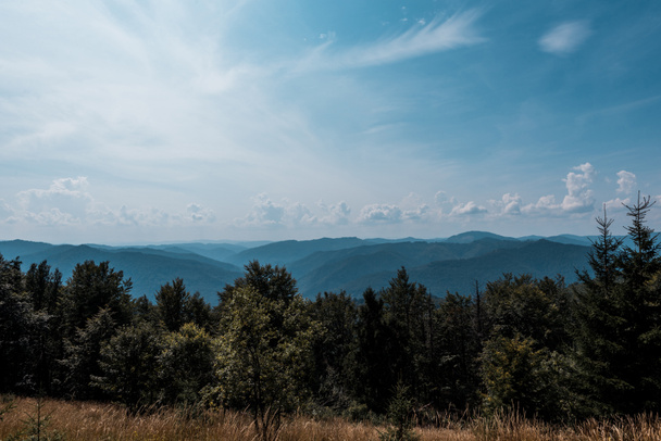 green trees and mountains against sky with clouds  - Fotografie, Obrázek