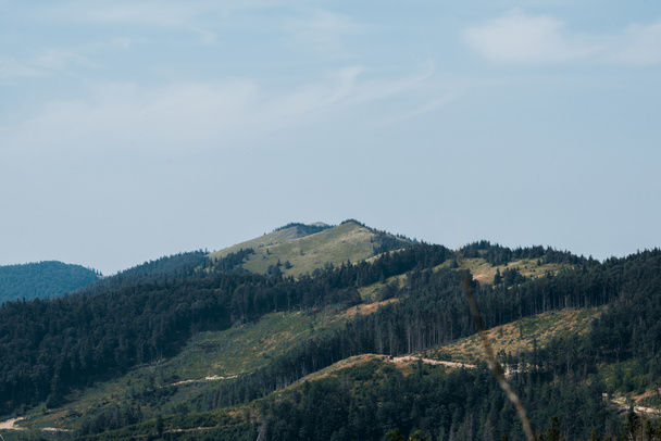 vihreät puut vuoristolaaksossa pilviä vasten
  - Valokuva, kuva