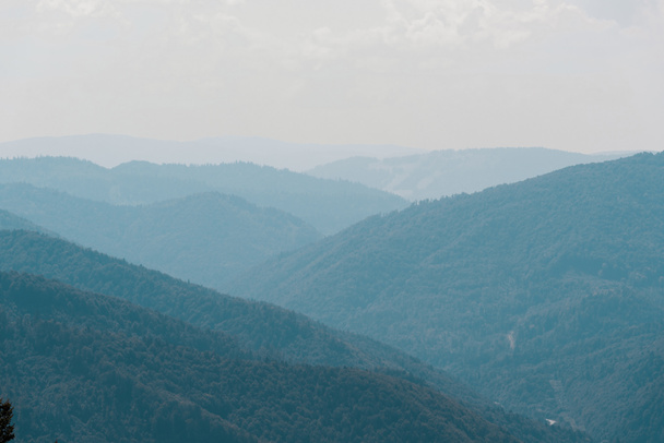 vallée pittoresque de montagne avec des arbres verts contre le ciel
  - Photo, image