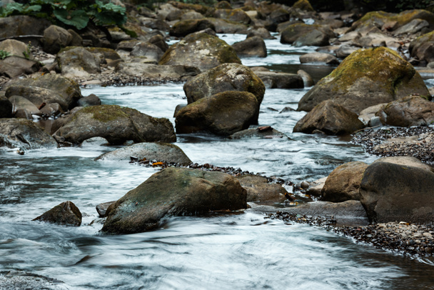 piedras húmedas con moho verde cerca del arroyo que fluye
  - Foto, Imagen