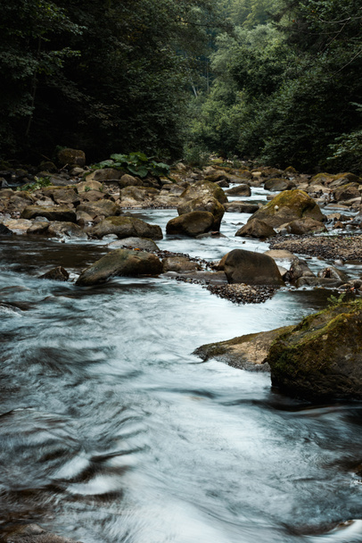 wet rocks near flowing brook and green trees in woods  - Fotó, kép