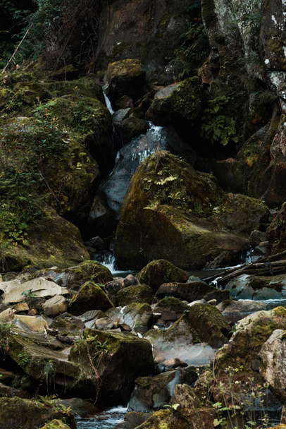 Schimmel auf Felsen in der Nähe des fließenden Baches im Wald  - Foto, Bild