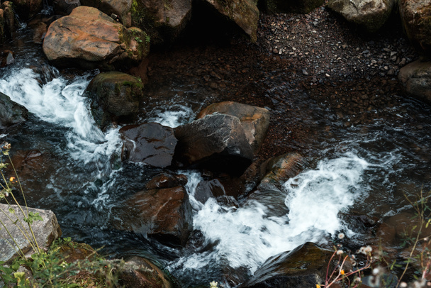 overhead view of rocks near flowing brook in forest  - Фото, изображение