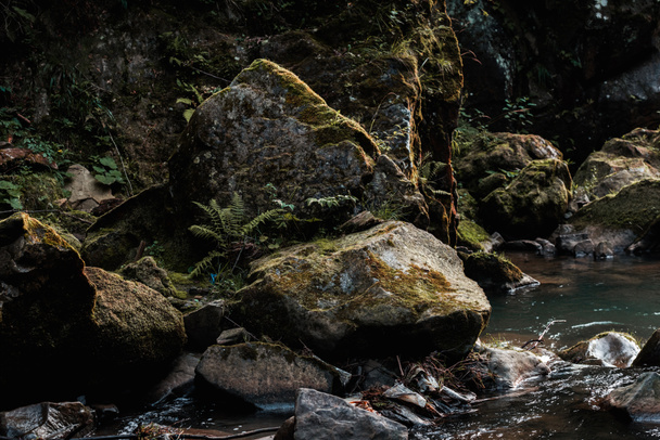 płynący strumień w pobliżu mokrych skał z zieloną formą  - Zdjęcie, obraz