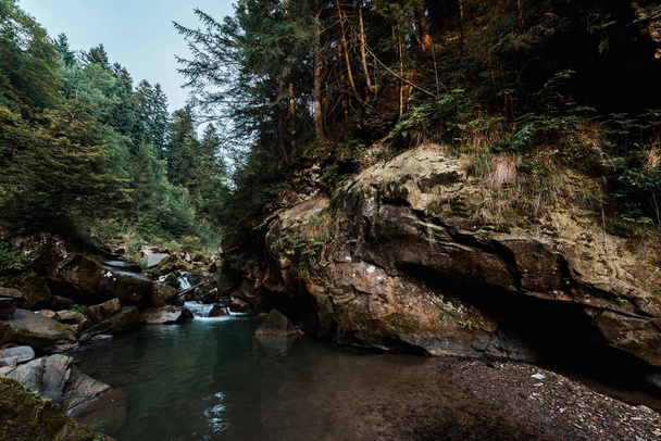 мокрі скелі біля озера і зелені дерева в лісі
 - Фото, зображення