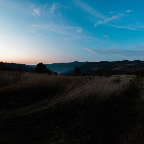 Západ slunce v lese proti modrému nebi s mraky - Fotografie, Obrázek