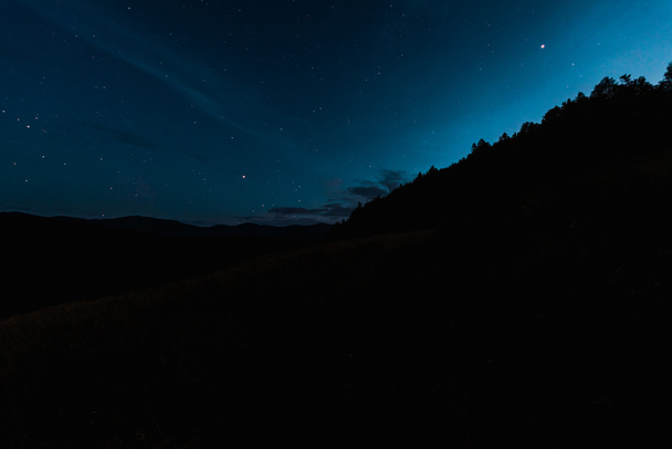 Небо с сияющими звездами возле деревьев ночью
  - Фото, изображение