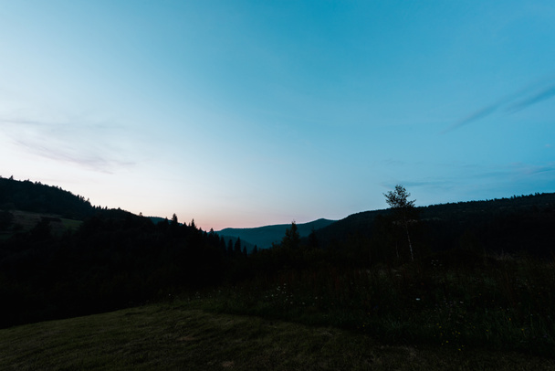 Sonnenuntergang im dunklen Wald vor blauem Himmel  - Foto, Bild