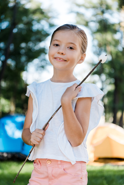 happy kid smiling while holding twig with marshmallow in park  - Photo, image