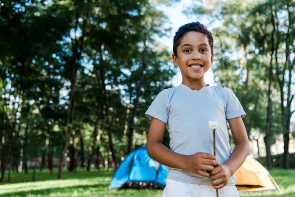 happy african american boy holding stick with sweet marshmallow near camps - Photo, image