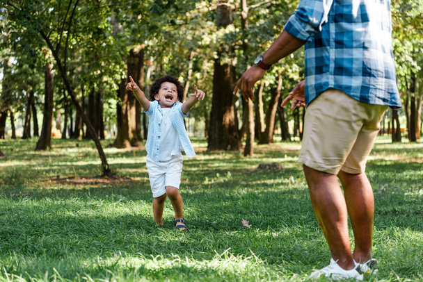 cropped view of father standing near cute african american kid pointing with fingers in park - Foto, Imagen