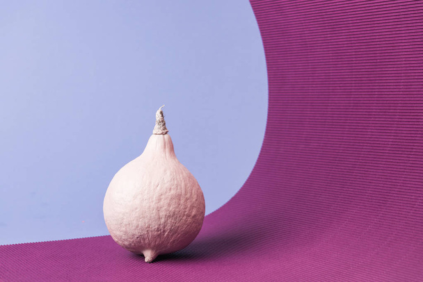pink colorful painted pumpkin on violet and purple background - Foto, imagen