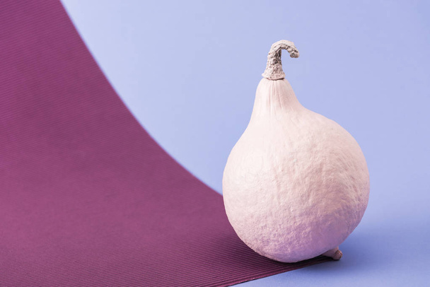 pink colorful painted pumpkin on violet and purple background - Foto, immagini