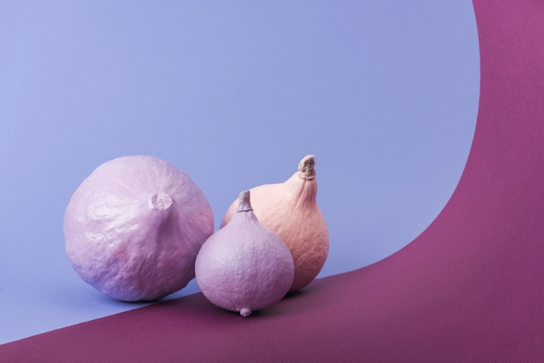 pastel colorful painted pumpkins on violet and purple background - Photo, Image