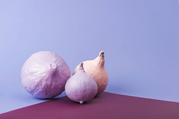 pastel colorful painted pumpkins on violet and purple background - Фото, изображение