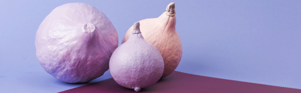 panoramic shot of pastel colorful painted pumpkins on violet and purple background - Photo, Image