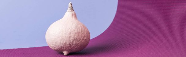 panoramic shot of pink painted pumpkin on violet background - Фото, изображение